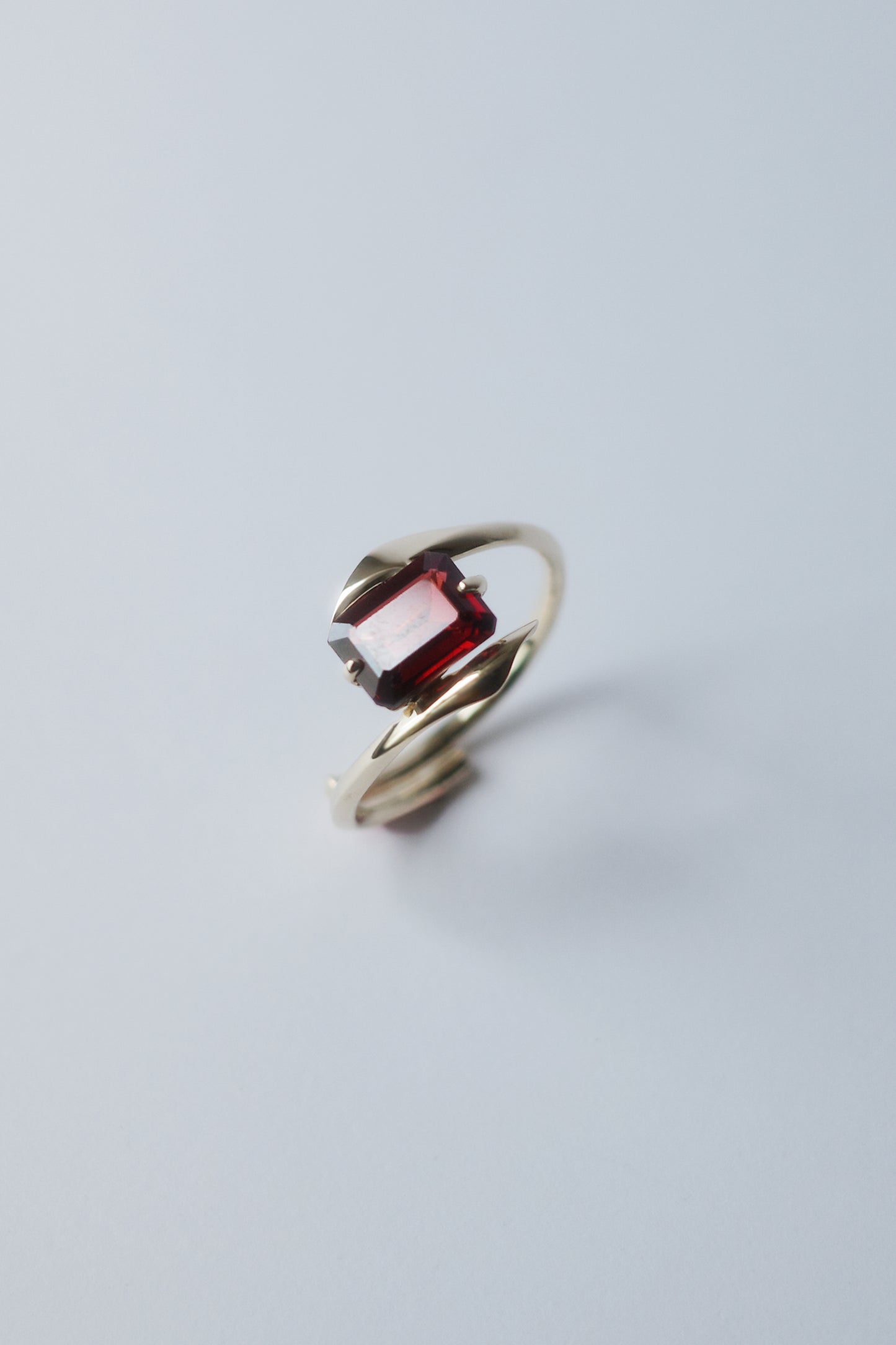 Polaris Line Ring  / K10 - Garnet