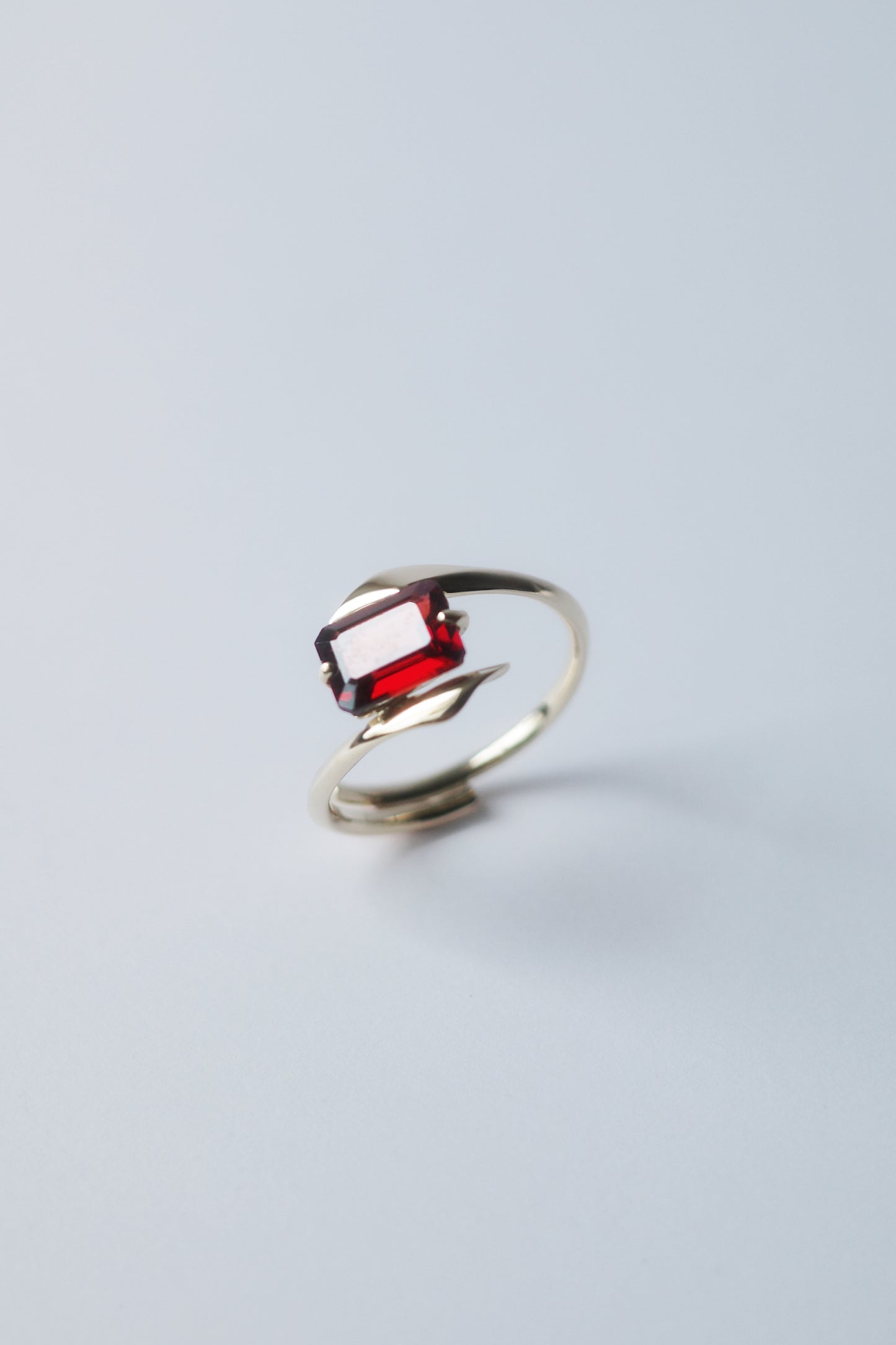 Polaris Line Ring  / K10 - Garnet