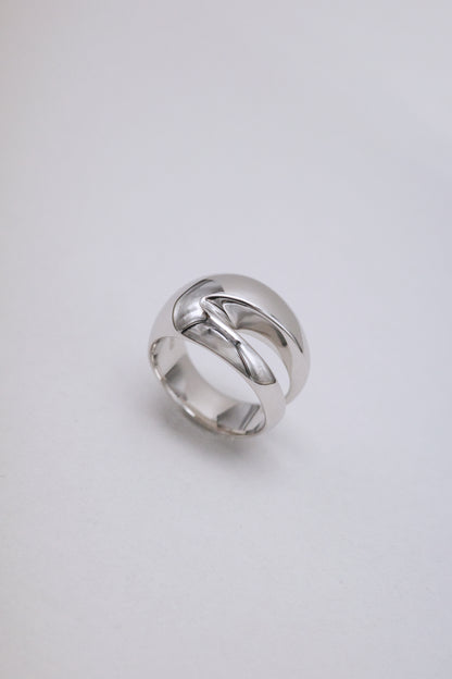 Bird Wing Ring